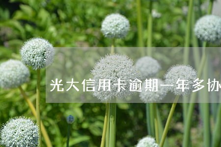 光大信用卡逾期一年多协商