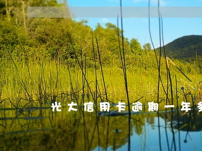 光大信用卡逾期一年多核销了 光大信用卡逾期一年多核销了