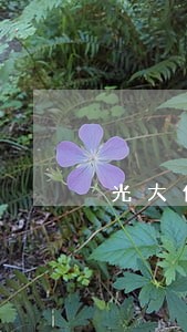 光大信用卡逾期一年没联系我