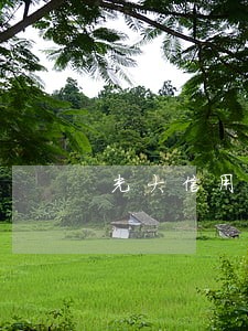 光大信用卡逾期一次不能分期