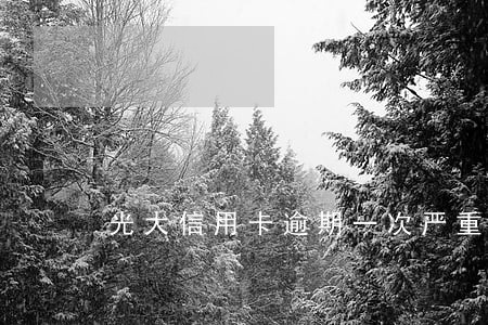 光大信用卡逾期一次严重吗 光大信用卡逾期一次严重吗
