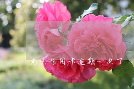 光大信用卡逾期一次了 光大信用卡逾期一次了