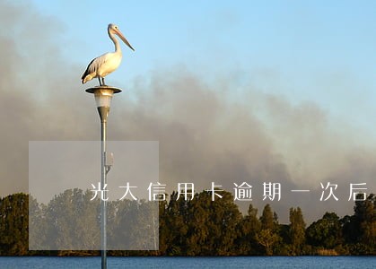 光大信用卡逾期一次后提额 光大信用卡逾期一次后提额