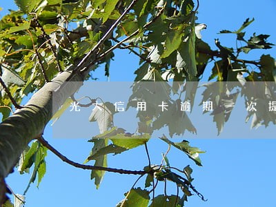 光大信用卡逾期一次提额度 光大信用卡逾期一次提额度