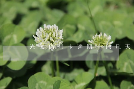 光大信用卡逾期一般几天打电话 光大信用卡逾期一般几天打电话