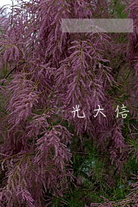光大信用卡逾期一般多久起诉 光大信用卡逾期一般多久起诉
