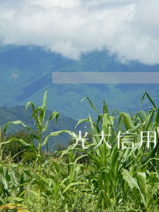 光大信用卡逾期七天 光大信用卡逾期七天