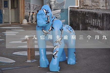 光大信用卡逾期三个月九万