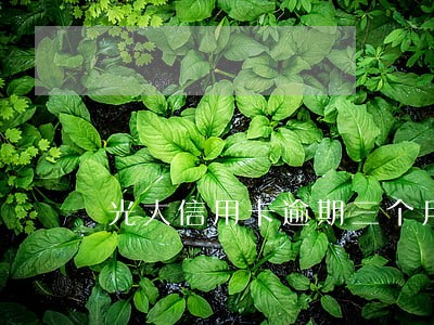 光大信用卡逾期三个月会停卡吗 光大信用卡逾期三个月会停卡吗