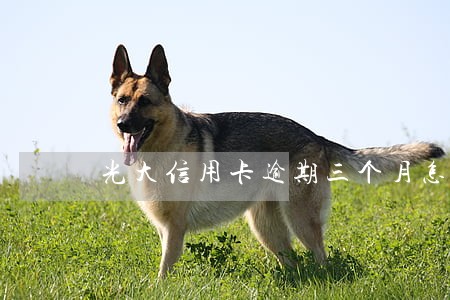光大信用卡逾期三个月怎么协商 光大信用卡逾期三个月怎么协商
