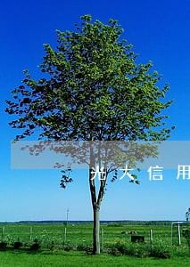 光大信用卡逾期三个月欠款八千多 光大信用卡逾期三个月欠款八千多