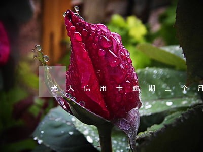 光大信用卡逾期三个月立案 光大信用卡逾期三个月立案