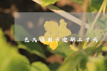 光大信用卡逾期三十天 光大信用卡逾期三十天