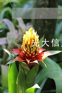光大信用卡逾期三千会上门吗 光大信用卡逾期三千会上门吗