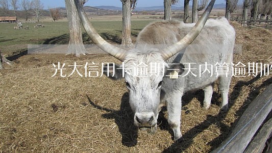 光大信用卡逾期三天内算逾期吗