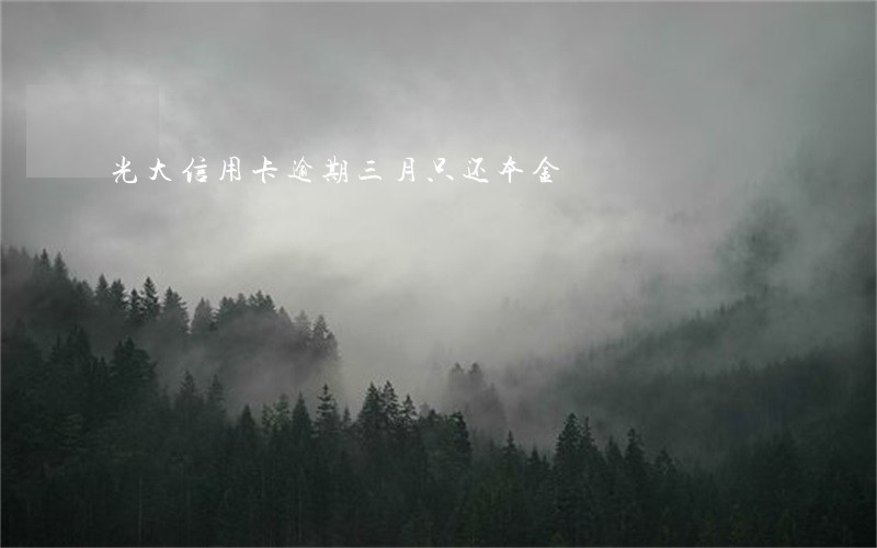 光大信用卡逾期三月只还本金