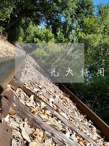 光大信用卡逾期不停的打电话