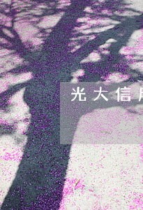 光大信用卡逾期不让分期付款