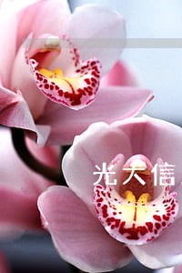 光大信用卡逾期不让用了 光大信用卡逾期不让用了