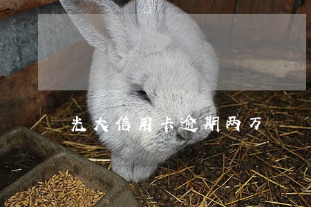 光大信用卡逾期两万 光大信用卡逾期两万