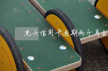 光大信用卡逾期两个月会立案嘛