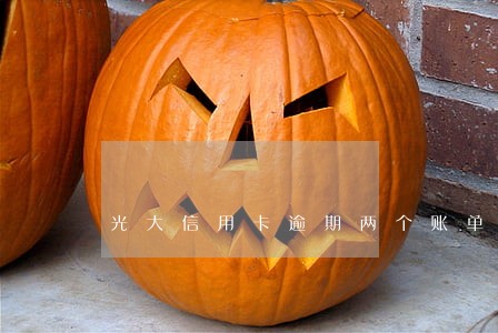 光大信用卡逾期两个账单