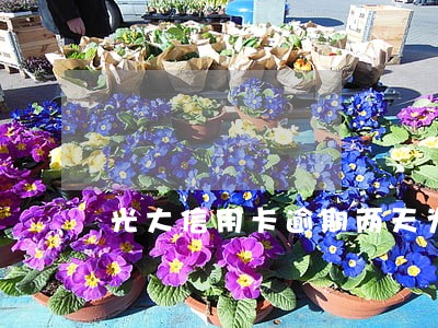 光大信用卡逾期两天为什么最低 光大信用卡逾期两天为什么最低