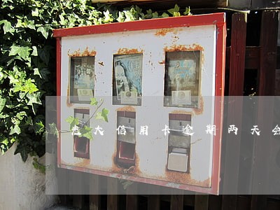 光大信用卡逾期两天会影响征信吗 光大信用卡逾期两天会影响征信吗