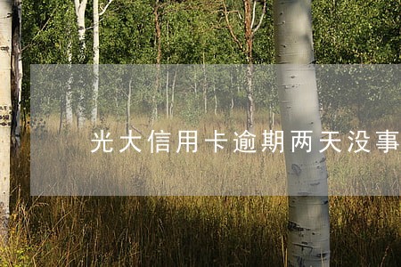 光大信用卡逾期两天没事吧 光大信用卡逾期两天没事吧