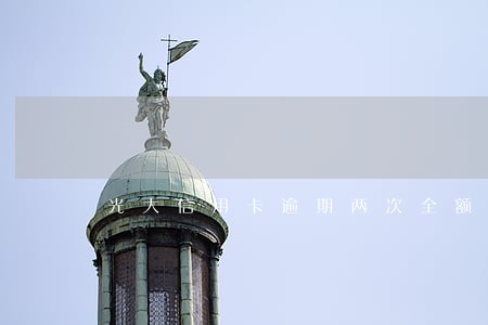 光大信用卡逾期两次全额