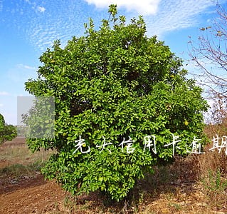光大信用卡逾期了2个月 光大信用卡逾期了2个月