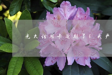 光大信用卡逾期了5天严重吗 光大信用卡逾期了5天严重吗