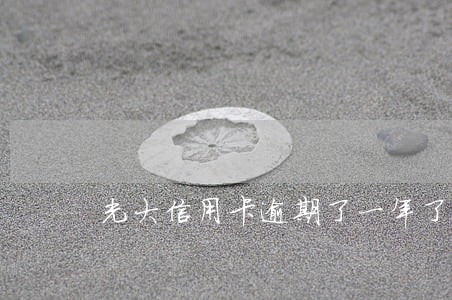 光大信用卡逾期了一年了 光大信用卡逾期了一年了