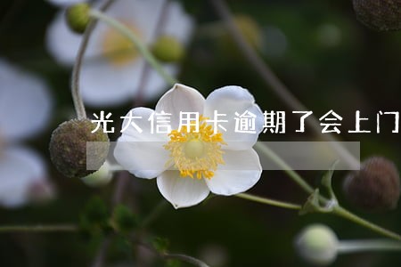 光大信用卡逾期了会上门么 光大信用卡逾期了会上门么