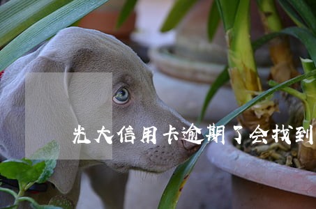 光大信用卡逾期了会找到单位吗 光大信用卡逾期了会找到单位吗