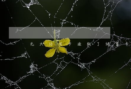光大信用卡逾期了储蓄卡有存款 光大信用卡逾期了储蓄卡有存款