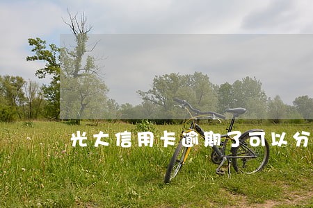 光大信用卡逾期了可以分期吗