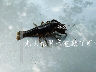 光大信用卡逾期了可以协商吗