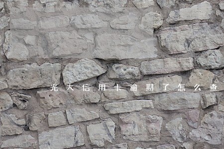 光大信用卡逾期了怎么查 光大信用卡逾期了怎么查