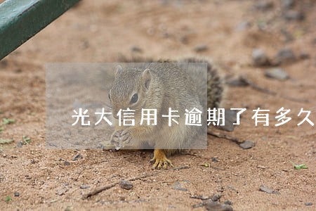 光大信用卡逾期了有多久上征信 光大信用卡逾期了有多久上征信