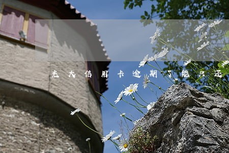 光大信用卡逾期了能只还本金吗 光大信用卡逾期了能只还本金吗