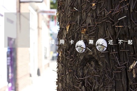 光大信用卡逾期了还不起怎么办