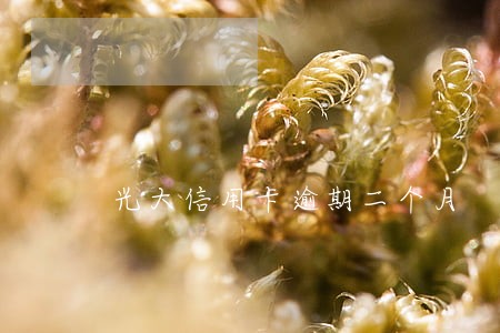 光大信用卡逾期二个月 光大信用卡逾期二个月