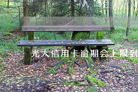 光大信用卡逾期会上报到哪里