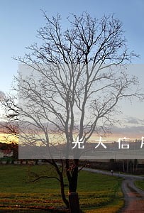 光大信用卡逾期会不会降额 光大信用卡逾期会不会降额