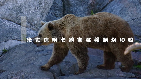 光大信用卡逾期会强制划扣吗 光大信用卡逾期会强制划扣吗