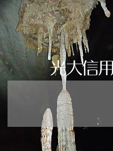 光大信用卡逾期会影响征信吗