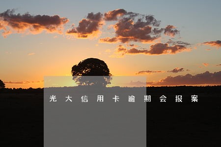 光大信用卡逾期会报案