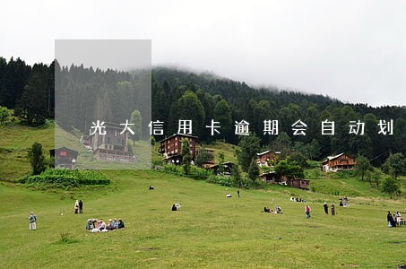 光大信用卡逾期会自动划扣吗 光大信用卡逾期会自动划扣吗