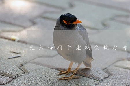 光大信用卡逾期会被起诉吗 光大信用卡逾期会被起诉吗